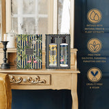 Winter In Venice Botanicalia Hand & Body Wash and Hand & Body Lotion Set